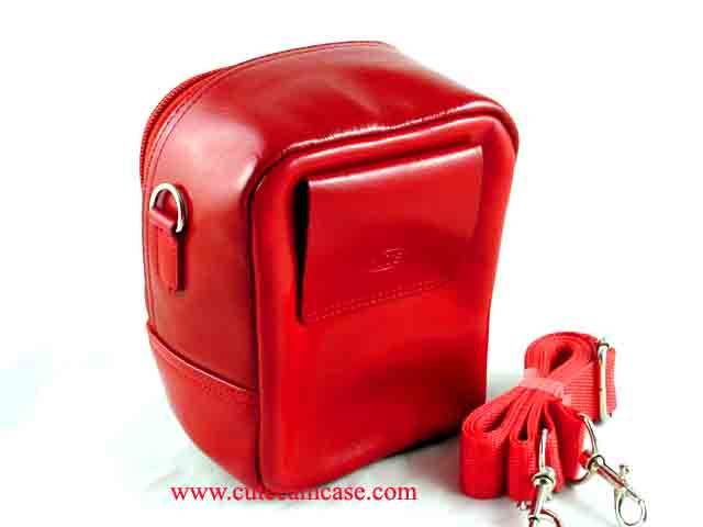 Leather Case