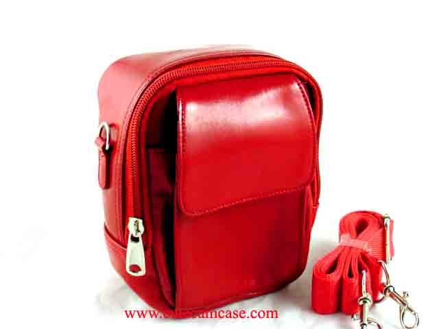 Leather Case