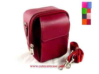 Leather Case