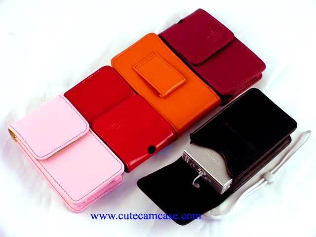 Leather Case