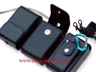 Leather Case