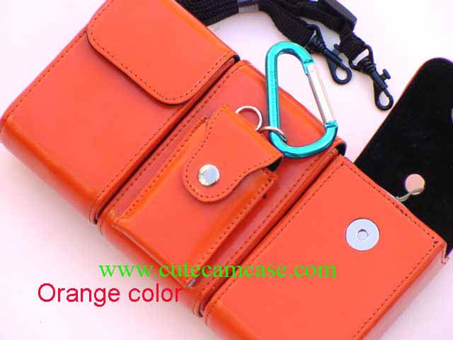 Slim Leather Case