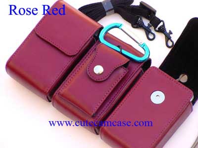 Slim Leather Case