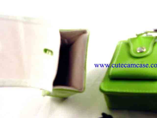 Leather Case