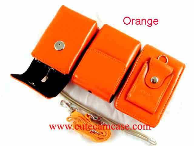 Leather Case