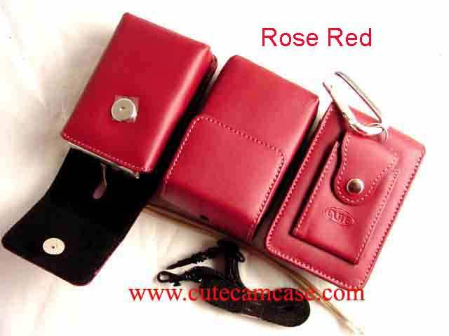 Leather Case