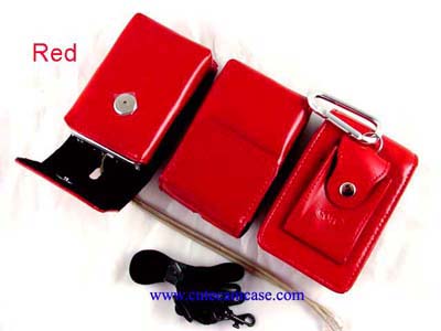 Leather Case