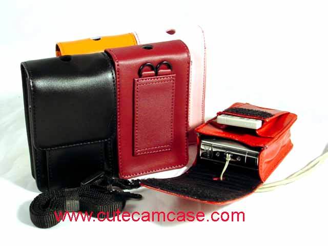 Slim Leather Case