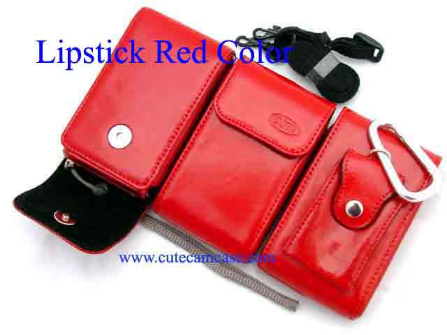 Slim Leather Case